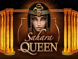 Sahara Queen screenshot